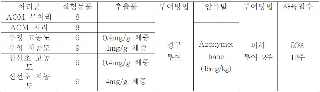 대장암유발 동물모델을 이용한 대장암 예방 효과 실험 디자인