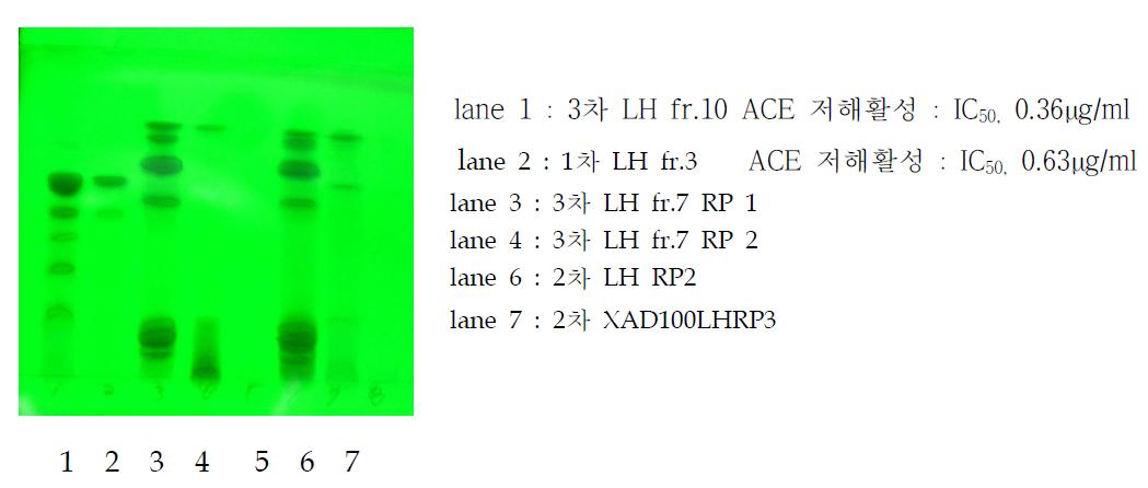 Amberlite XAD-4 컬럼 크로마토그래피로 분리한 무시래기 추출 분획물의 TLC