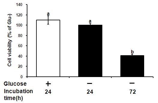 Cell viability in the HIT-T15 cells with/without glucose.