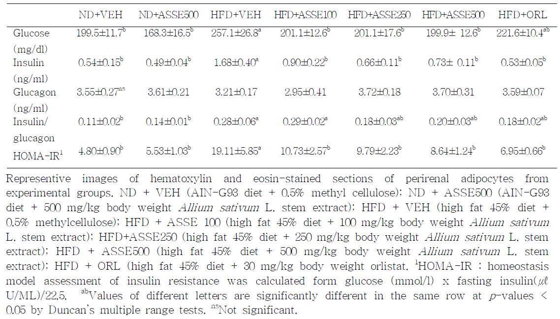 Effects of Allium sativum L. stem extract on serum glucose, insulin, glucagon and HOMA-IR in high fat diet-induced obese mice.