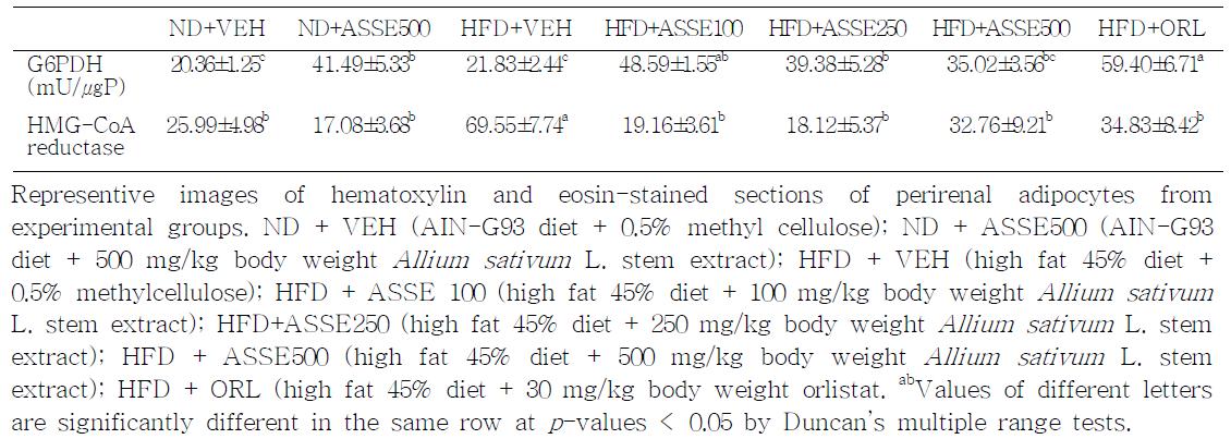 Effects of Allium sativum L. stem extract on hepatic G6PDH and HMG-CoA reductase activity in high fat diet-induced obese mice