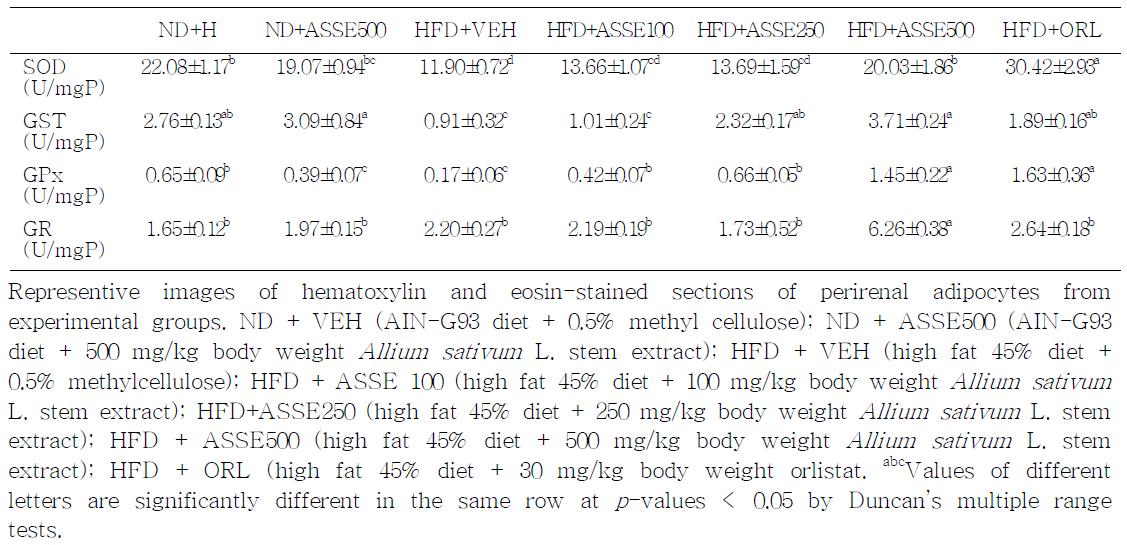 Effects of Allium sativum L. stem extract on hepatic antioxidant enzyme activities in high fat diet-induced obese mice