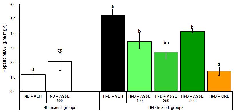 Hepatic MDA levels in the mice administered with Allium sativum L. stem extract.