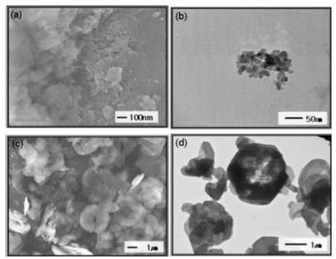 다양한 크기의 금속 수산화물 나노입자의 현미경 사진 ( 20 nm 정도의 크기를 갖는 입자의 (a) 주사전자현미경 (b) 투과전자현미경 사진,