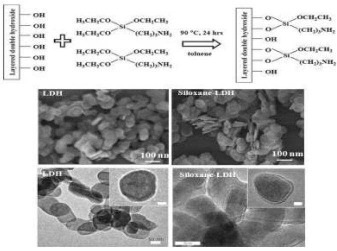 (상단) 아미노 실란에 의하여 금속이중층 수산화물 나노캡슐 표면이 히드록실 기능기에서 아미노 기능기로 개질되는 반응도 (하단) 아미노 기능기로 개질된 경우 표면에 존재하는 실록산 그룹에 의하여 나노입자 표면에 실록산 표면이 생성된 전자현미경 사진 (상단: 주사전 자현미경, 하단: 투과전자현미경)