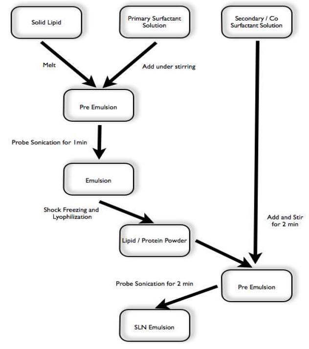Solid lipid nanoparticle emulsion의 제조 과정