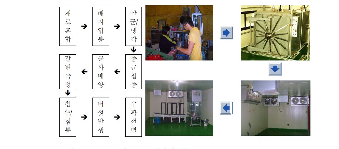 살균 톱밥표고 재배과정