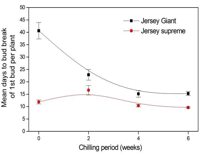 Effect of chilling treatment on bud breaking of 1st bud per plant