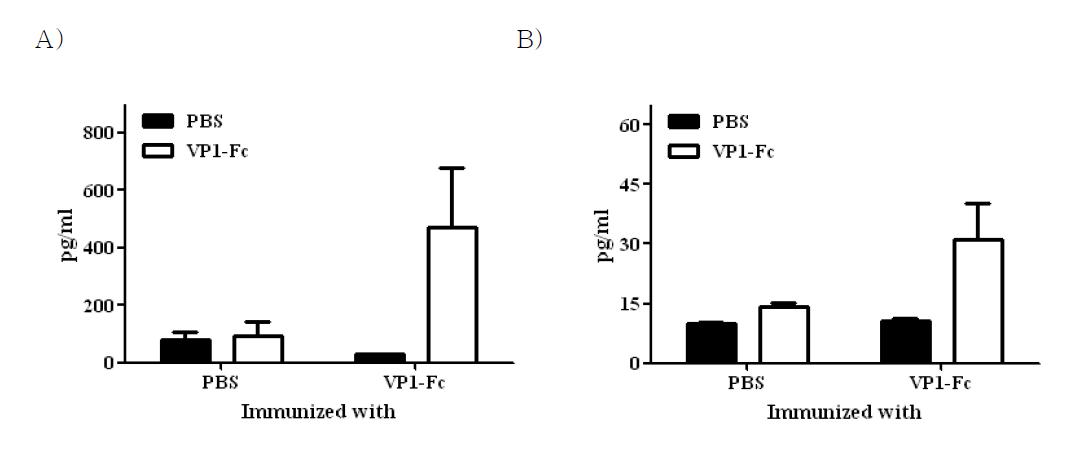 Splenocyte cell 배양액 상등액에 있는 IFN-γ 및 IL-4의 농도 분석.