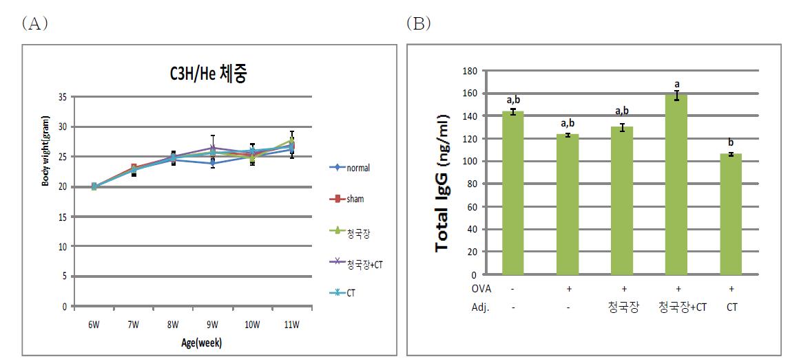 OVA 또는 청국장 추출물로 경구투여 했을 때 생쥐의 체중변화(A) 및 혈청중에 생성된 총 IgG(B) 분석.
