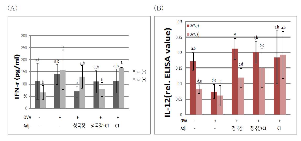 OVA 또는 청국장 추출물로 경구투여 했을 때 생쥐 spleen cell에 의하여 생성된 배양액중의 IFN gamma(A) 및 IL-12(B) 분석.