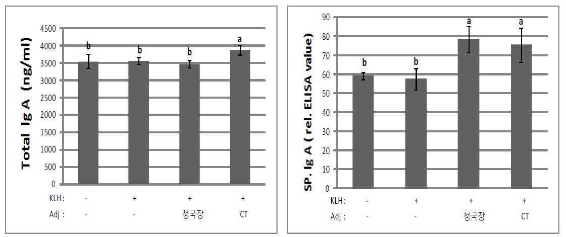 KLH 또는 청국장 추출물로 경구투여 했을 때 장내에서 생성된 총 IgA(A) 및 특이 IgA(B) 분석.