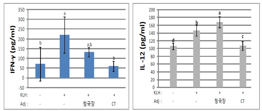 KLH 또는 청국장 추출물로 경구투여 했을 때 생쥐 spleen cell에 의하여 생성된 배양액중의 IFN gamma (A) 및 IL-12 (B) 분석.