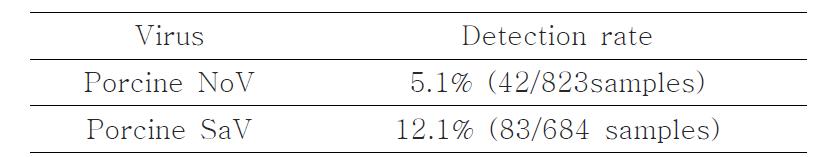 돼지 Norovirus 및 Sapovirus 검출 현황