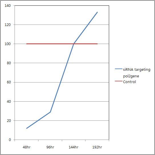siRNAs 로 타겟팅 된 PERV의 pol2를 48시간 마다 비교 분석