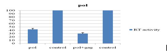 RT-Activity pol ,both pol and gag siRNA Transfected PK15cells (kinetic ELISA assays).