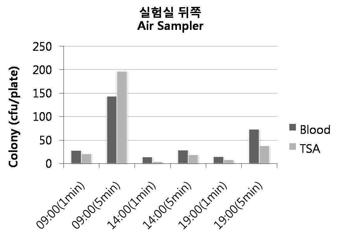 Blood agar와 TSA agar를 사용하여 실험실 뒤쪽에서 시간대별로 공기포집