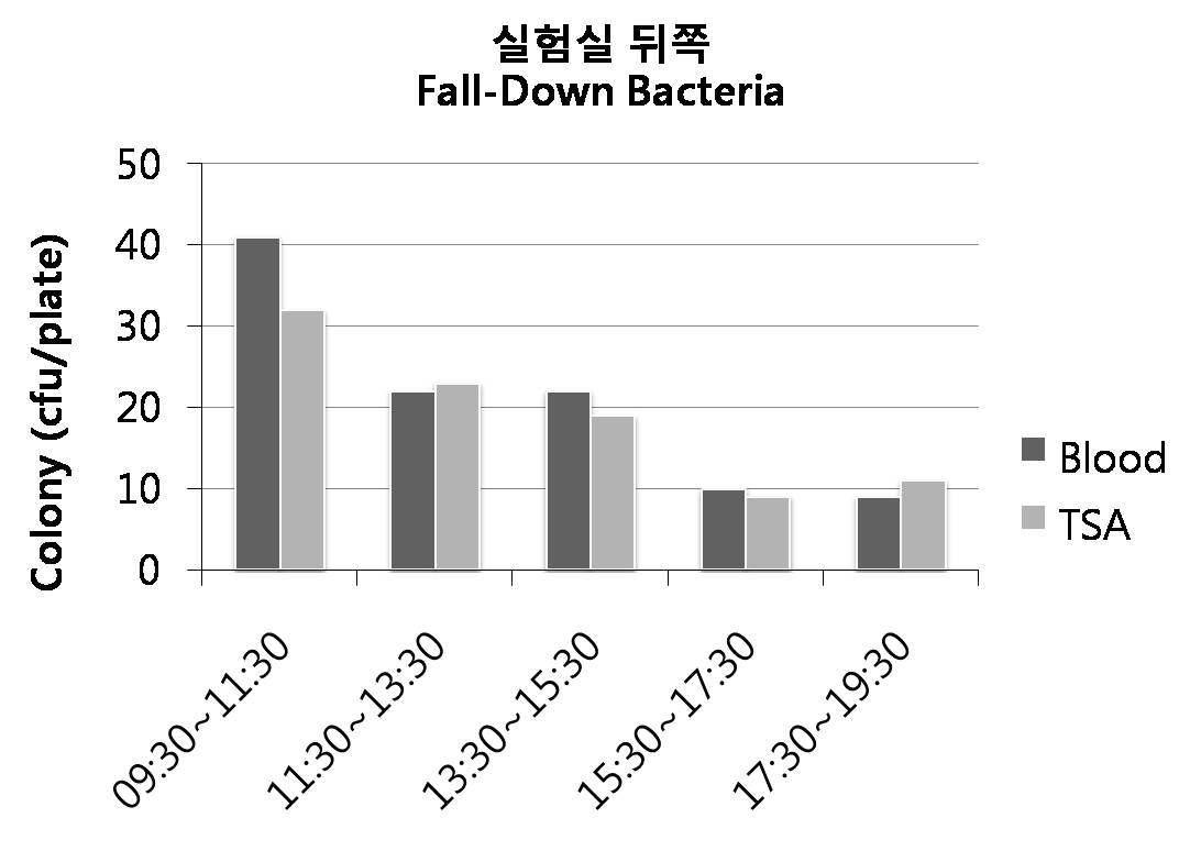 Blood agar와 TSA agar를 이용하여 실험실 뒤쪽에서 시간대별로 자연낙하