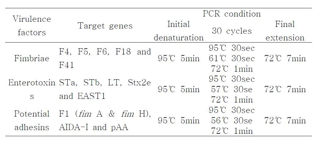 장독소형 대장균 진단을 위한 Multiplex PCR