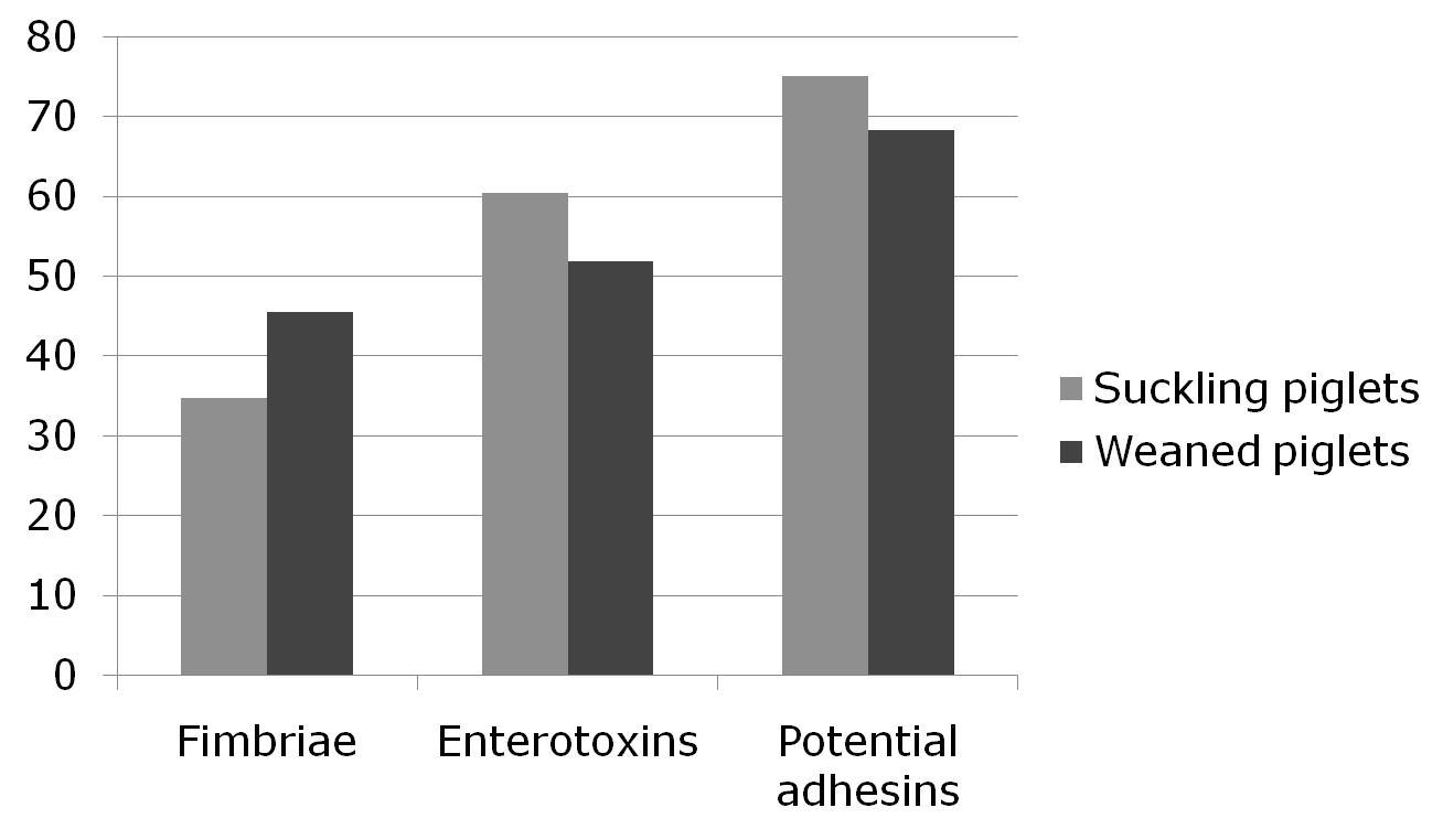 일반 포유 및 이유 자돈 유래 대장균 애의 fimbriae, enterotoxin, potential adhesion의 이환율.