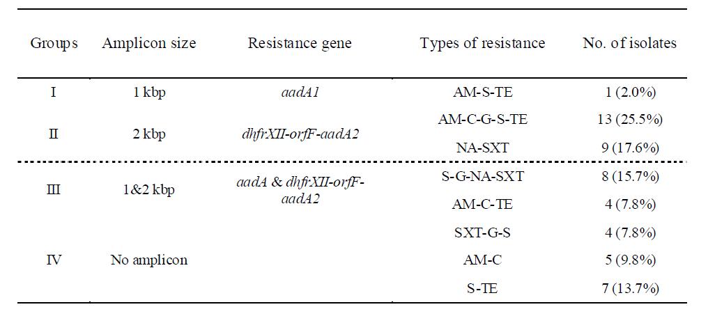 S. Typhimurium 분리주 내에서 발견된 amplicon sizes, resistance genes, resistance patterns 사이의 관계