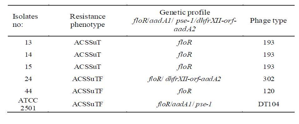 Florfenicol에 저항성을 보이는 S. Typhimurium 분리주의 Genetic profile과 phage typing