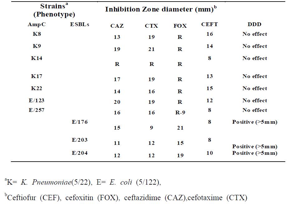 β–lactamases를 생산하는 돼지 유래 분리주의 Antibiogram과 phenotype grouping