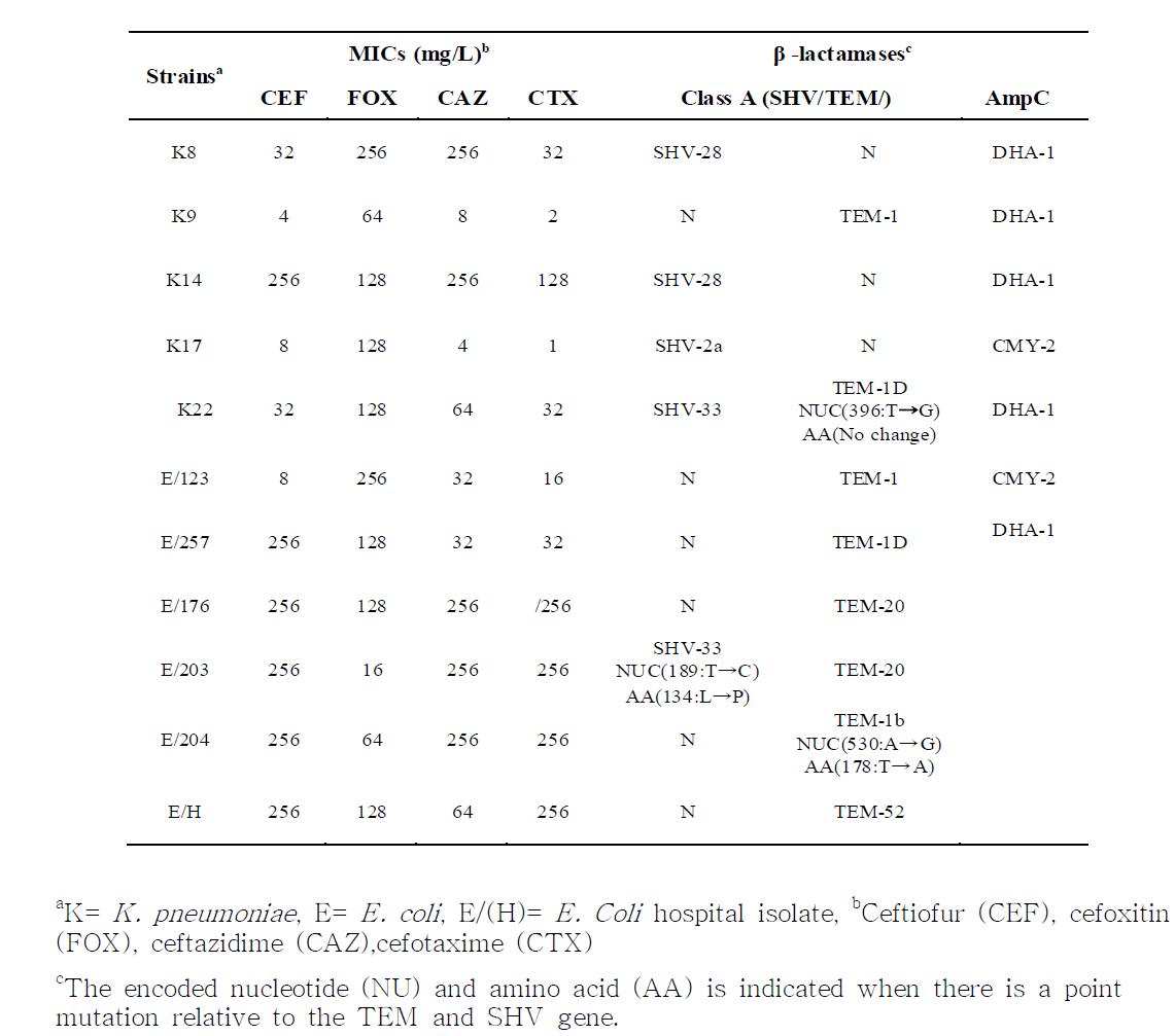 class A 와 AmpC type β-lactamase를 생산하는 분리주에 대한 β -lactamases 의 표현형과 유전자형