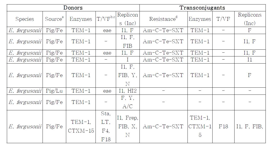 국내 동물들에서 분리된 Enterobacteriaceae의 donor와 transconjugants의 the beta-lactam resistant isolates, plasmid replicon types, antibiogram, toxins, virulence factors의 조사.