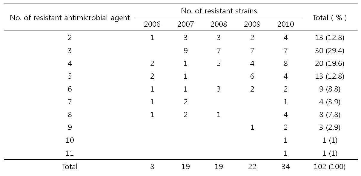 2006-2010년에 분리된 흉막폐렴 분리주 중 여러 가지 항생제에 동시에 내성을 보이는 분리주