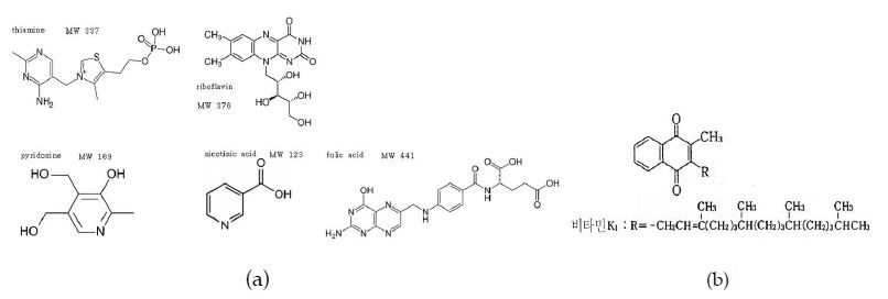 Fig. 2. Chemical structure of (a) thiamine, riboflavin, pyridoxine, niacinamide, and folic acid (b)vitamin K1.