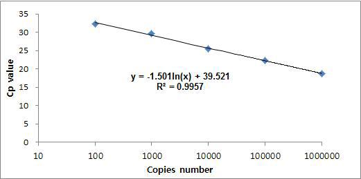 correlation between Cp value and Copies number