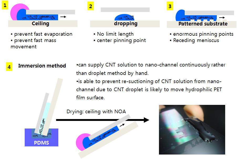 나노채널을 이용한 CNT용액을 이동시키는 다양한 방법