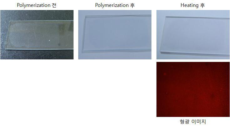 Dopamine을 이용한 PDA liposome 코팅 실험 결과