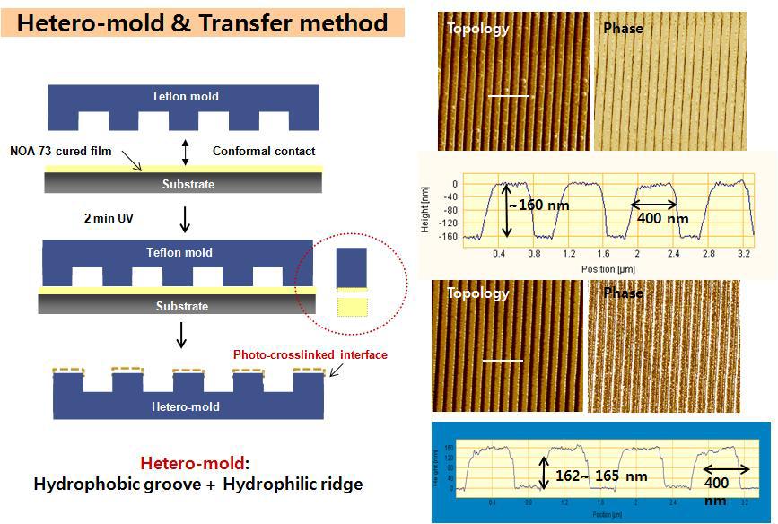 Hetero-mold의 제작과정 및 AFM 이미지