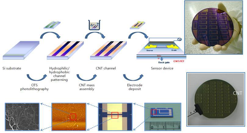 실리콘 웨이퍼에 나노와이어를 배열한 전극제작 공정도