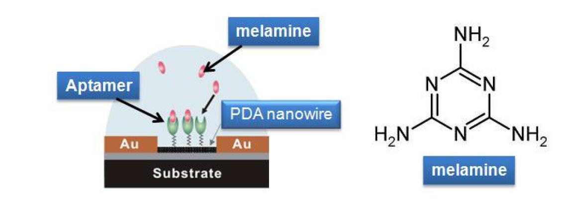 멜라민 검출을 위한 센서 개념도