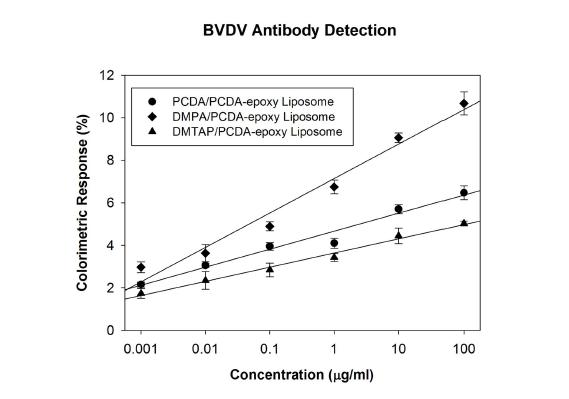 BVDV 항체 검출 결과