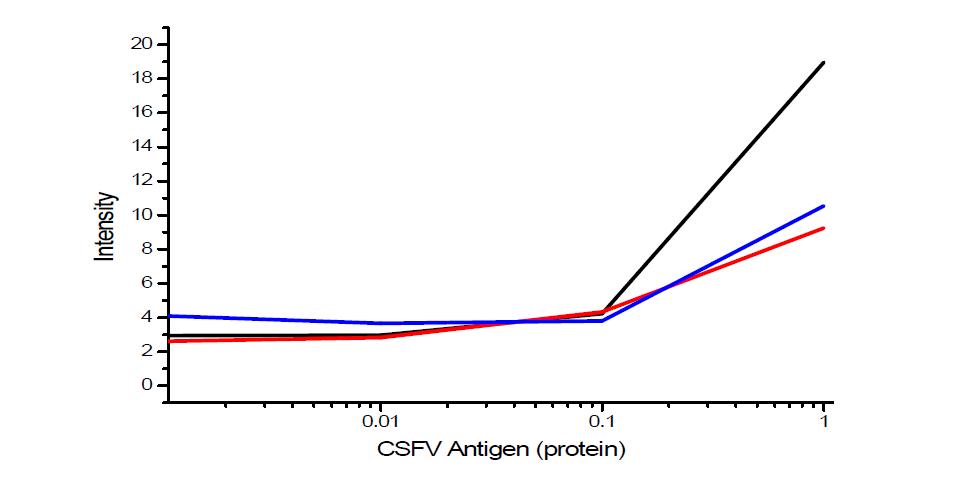 CSFV 압타머를 이용한 CSFV 단백질 검출 실험 결과