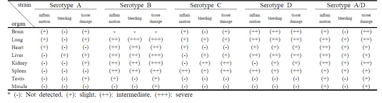 Characterization of histological phatogenicity in PAS stains by serotypes.