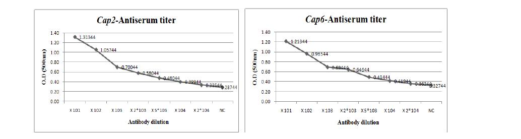 ELISA results obtained after the third immunization in rabbit.