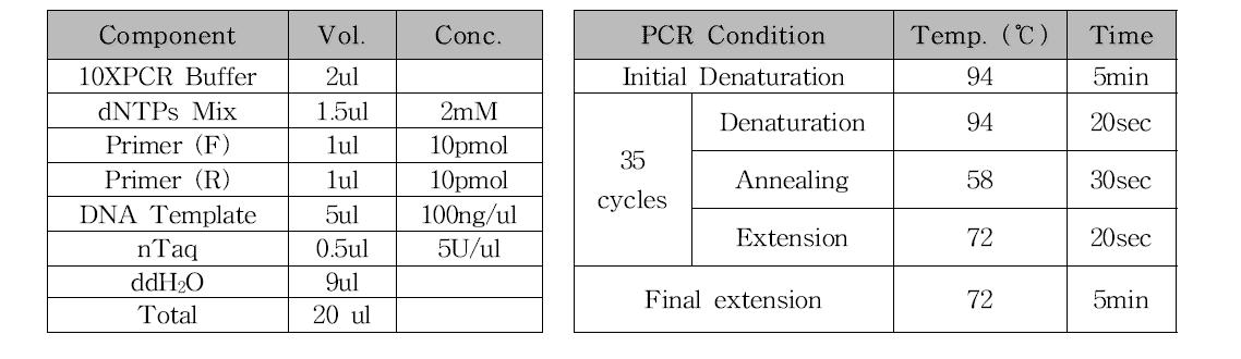 PCR 조성 및 조건