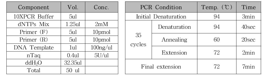 PCR 조성 및 조건 (DuCVa)