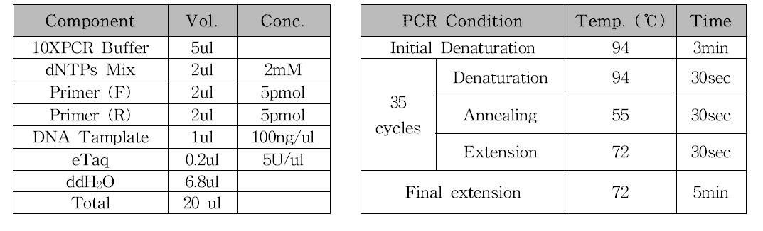 오리장염바이러스 검출용 PCR 조성 및 조건