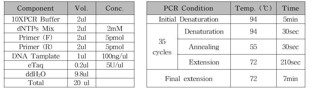 오리장염바이러스 분석용 PCR 조성 및 조건 DEV UL3