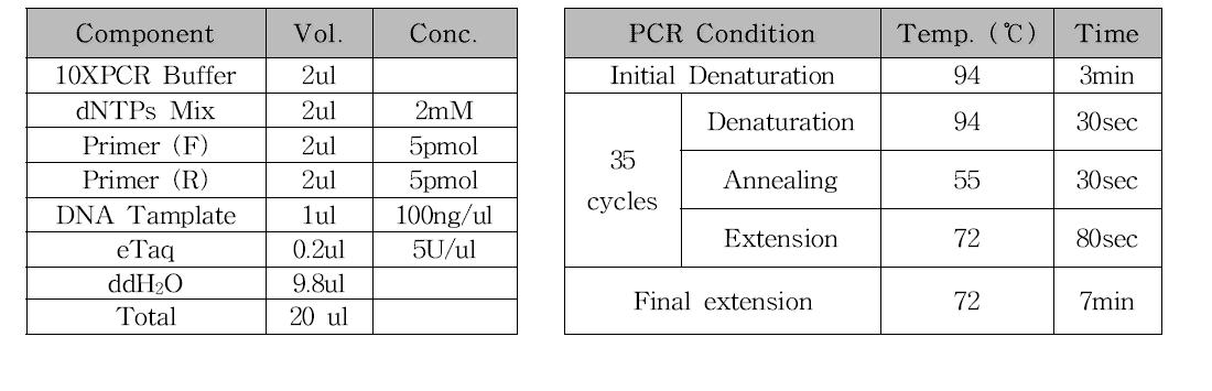 오리장염바이러스 분석용 PCR 조성 및 조건 DEV LORF3