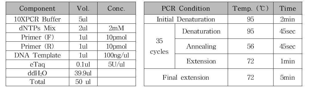 spvC 검사용 PCR 조성 및 조건
