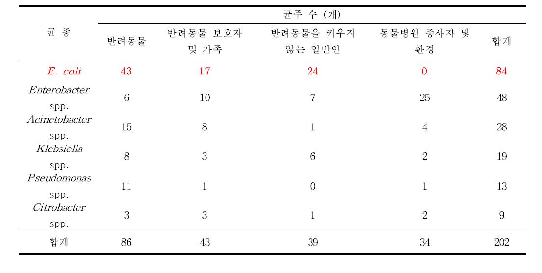 그룹별 E. coli 및 기타 그람음성 세균 분리 현황