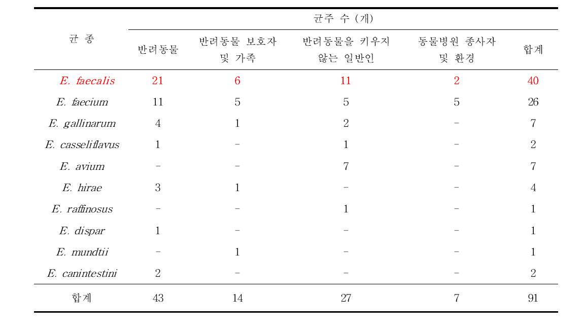 그룹별 Enterococcus spp. 분리 현황