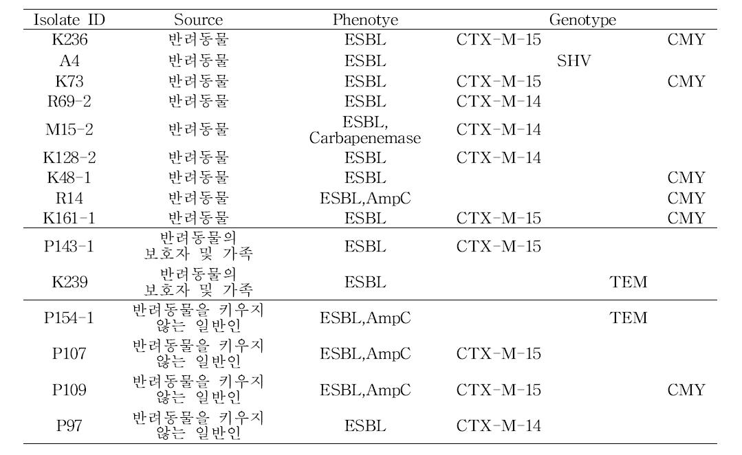 β-lactamase 관련 표현형과 유전형의 비교